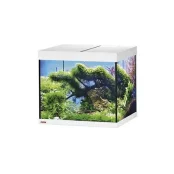 Акваріум EHEIM vivaline LED 150 2x12 Вт білий, без тумби (60x50x50, 150л)