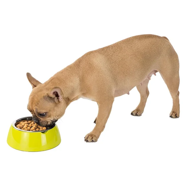 Ferplast Jolie Small Green Bowl металлическая миска для собак и кошек, 17.1 см