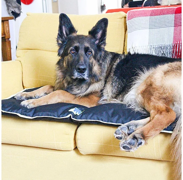 Водоотталкивающая подушка Ferplast Jolly 100 Cushion Black для собак, чёрная, 98×65 см