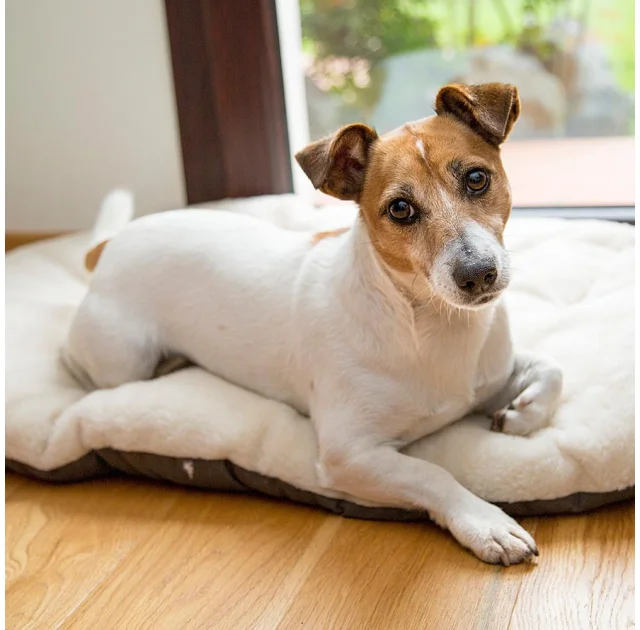 Подушка-підстилка Ferplast Relax F 55/4 Brown-Beige для котів і собак, з бавовни і хутра, 55×36 см