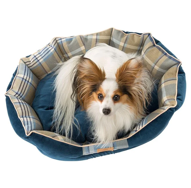 Лежак с двусторонней подушкой Ferplast Charles 70 Bedding Blue для кошек и собак, 68×47×25 см