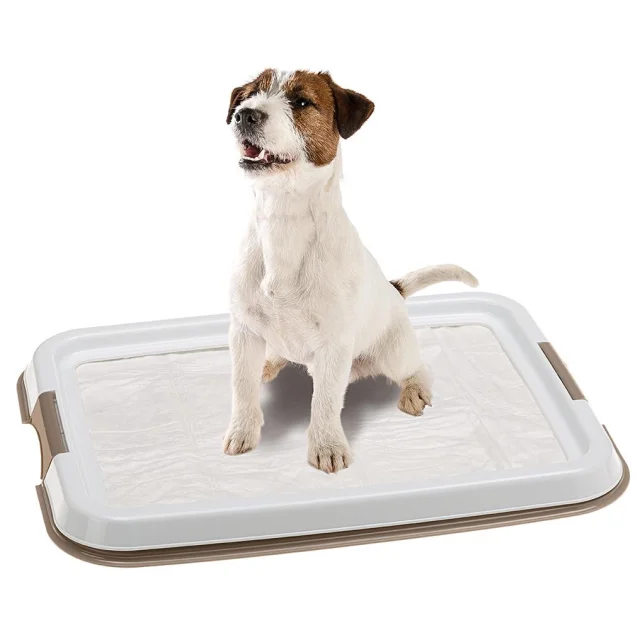Лоток Hygienic Pad Tray Small для гігіенічекіх пелюшок, 49x36x3 см