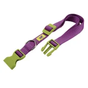 Нейлоновый ошейник Ferplast Club C25/70 Colours Purple для собак, фиолетовый, 45x70 см