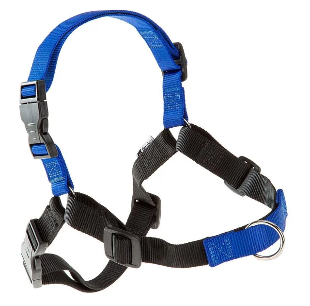 Шлейка Ferplast Coach P L Harness Blue для дрессировки, A: 33x43 см, B: 64x91 см