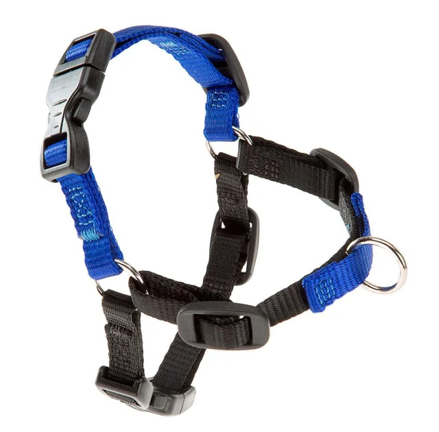 Шлейка Ferplast Coach P M Harness Blue для дрессировки, A: 20x26 см, B: 42x59 см
