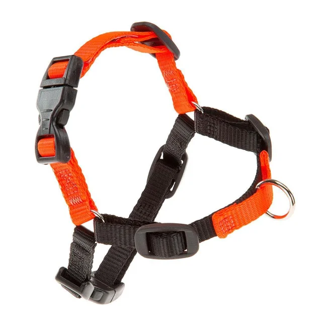 Шлейка Ferplast Coach P S-M Harness Orange для дресирування, A: 15x18 см, B: 33x41 см