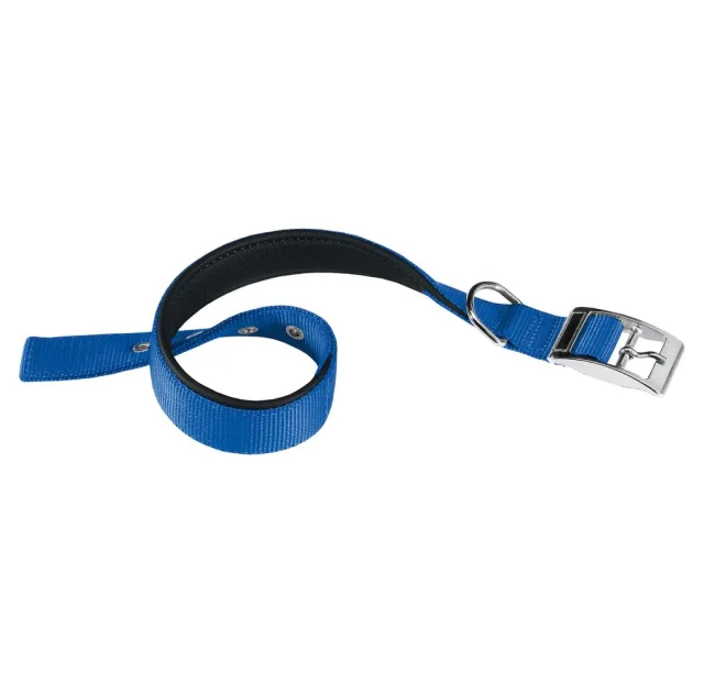 Нейлоновий нашийник Ferplast Daytona C20 / 43 Blue для собак, синій, A: 35x43 см, B: 20 ​​мм