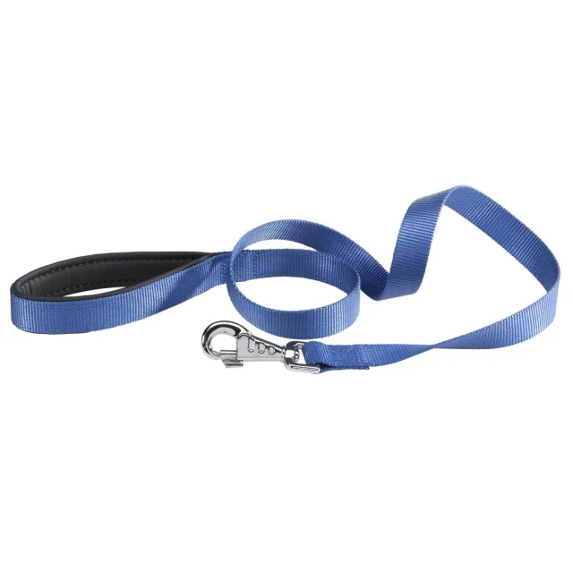 Нейлоновый поводок Ferplast Daytona G15/120 Blue для собак, 15 мм 120 см