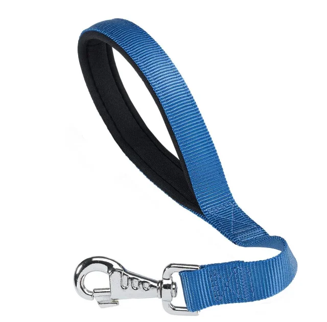 Нейлоновий поводок Ferplast Daytona GM25 / 45 Blue для собак, 25 мм, 45 см