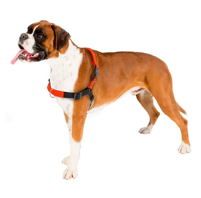 Шлейка Ferplast Coach P L Harness Orange для дрессировки, A: 33x43 см, B: 64x91 см