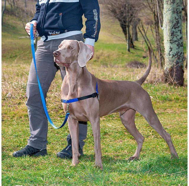 Шлейка Ferplast Coach P L Harness Blue для дрессировки, A: 33x43 см, B: 64x91 см