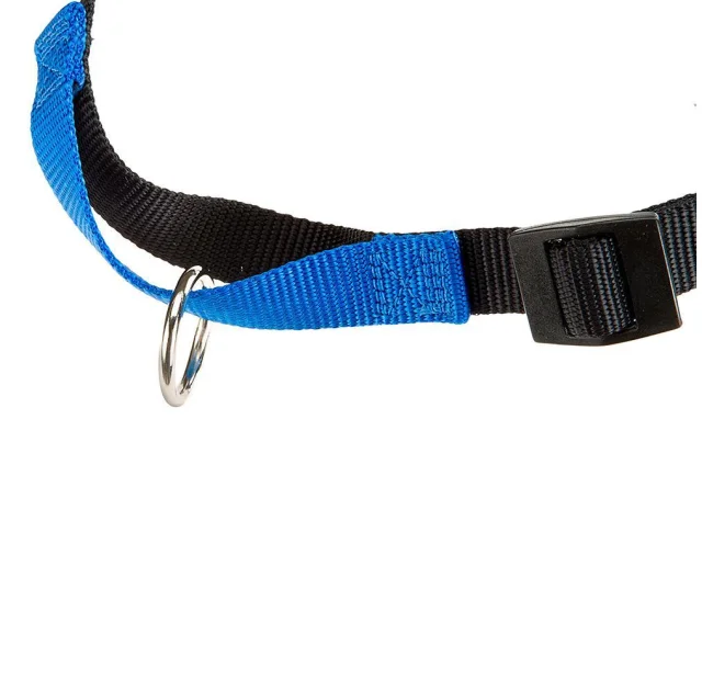 Шлейка Ferplast Coach P M Harness Blue для дрессировки, A: 20x26 см, B: 42x59 см