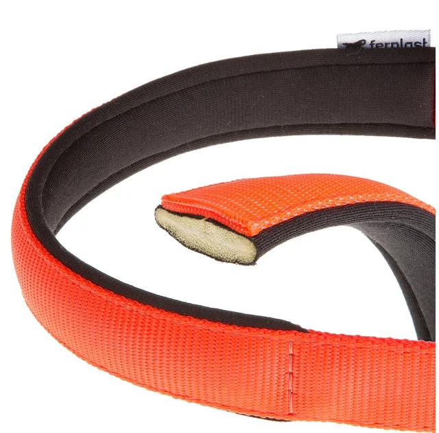 Нейлоновий нашийник Ferplast Daytona C20 / 43 Orange для собак, помаранчевий, A: 35x43 см, B: 20 ​​мм
