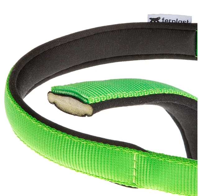 Нейлоновий нашийник Ferplast Daytona C25 / 45 Green для собак, зелений, A: 37x45 см, B: 25 мм