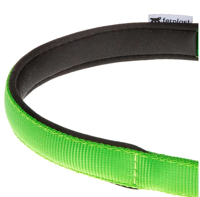 Нейлоновий нашийник з металевим ланцюжком Ferplast Daytona CSS20 / 50 Green для собак, A: 50 см, B: 20 ​​см