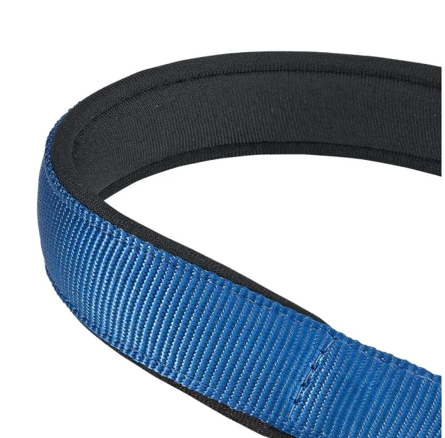 Нейлоновий нашийник з металевим ланцюжком Ferplast Daytona CSS20 / 55 Blue для собак, A: 55 см, B: 20 ​​см
