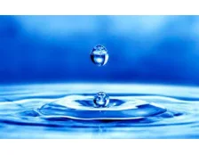 Вода источник жизни для кошки