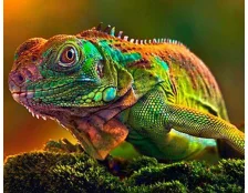 Террариумистика как увлечение