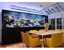 Как правильно оборудовать аквариум