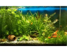 Аквариумный грунт