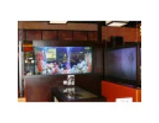 Какой аквариум лучше выбрать для ресторана и кафе