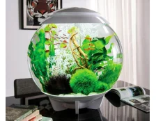 Почему мутнеет вода в аквариуме - Основные причины