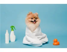 Как мыть собаку после прогулки