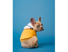 Размер одежды для собак