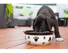 Почему щенкам нужен специальный корм