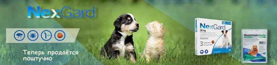Купуйте NexGard та Frontline Combo Spot On поштучно
