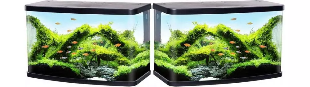 Який акваріум краще вибрати для ресторану та кафе