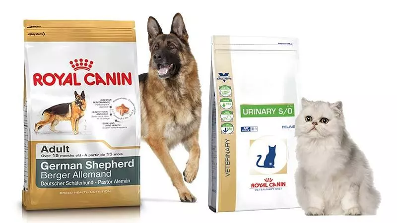 Кращі корми для собак - Актуальний рейтинг