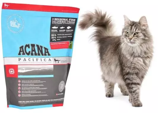 Чим правильно годувати кота - Поради щодо вибору корму