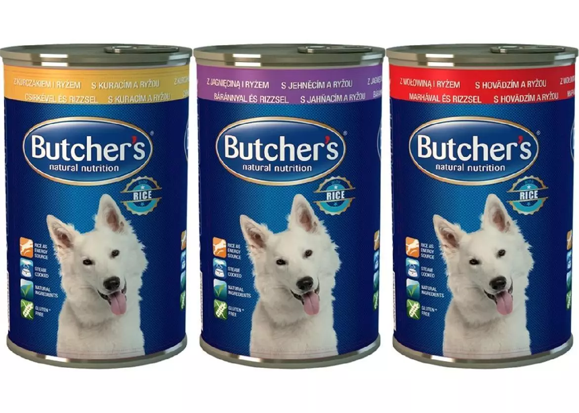 Чим правильно годувати кота - Поради щодо вибору корму