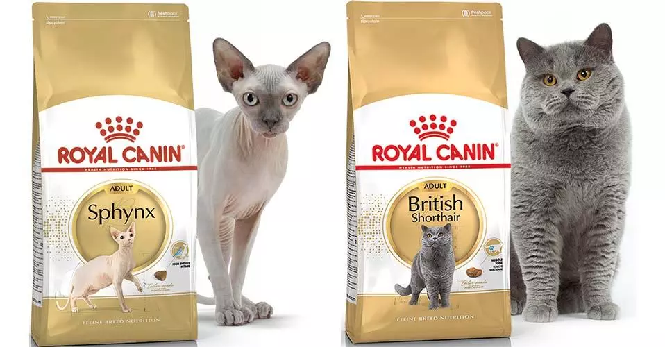 Рейтинг кращих кормів для котів - Огляд торгових марок