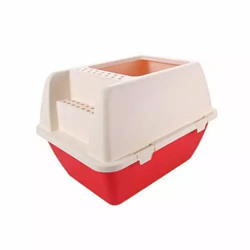 Як привчити кішку до лотка - Огляд