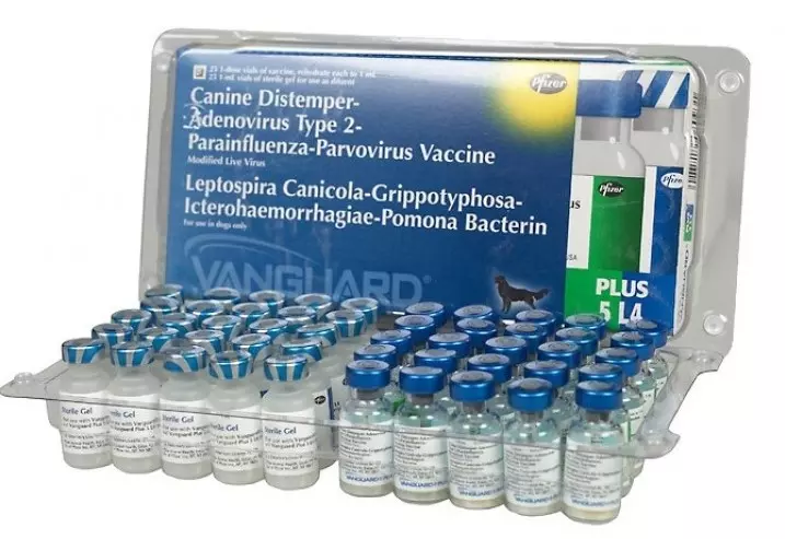 Які вакцини потрібно робити цуценятам, що б захистити від різних інфекцій