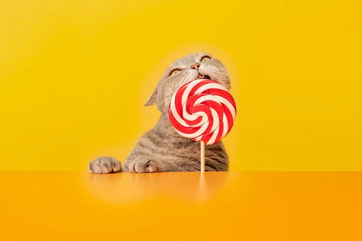 Клички для котів дівчаток