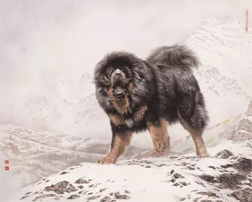 Тибетський мастиф